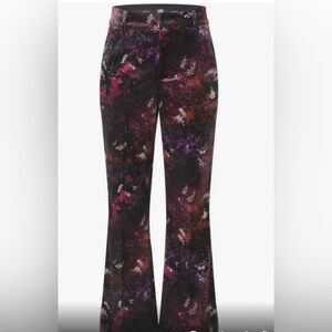 Scotch & Soda winter edition velvet flare pants sz 30